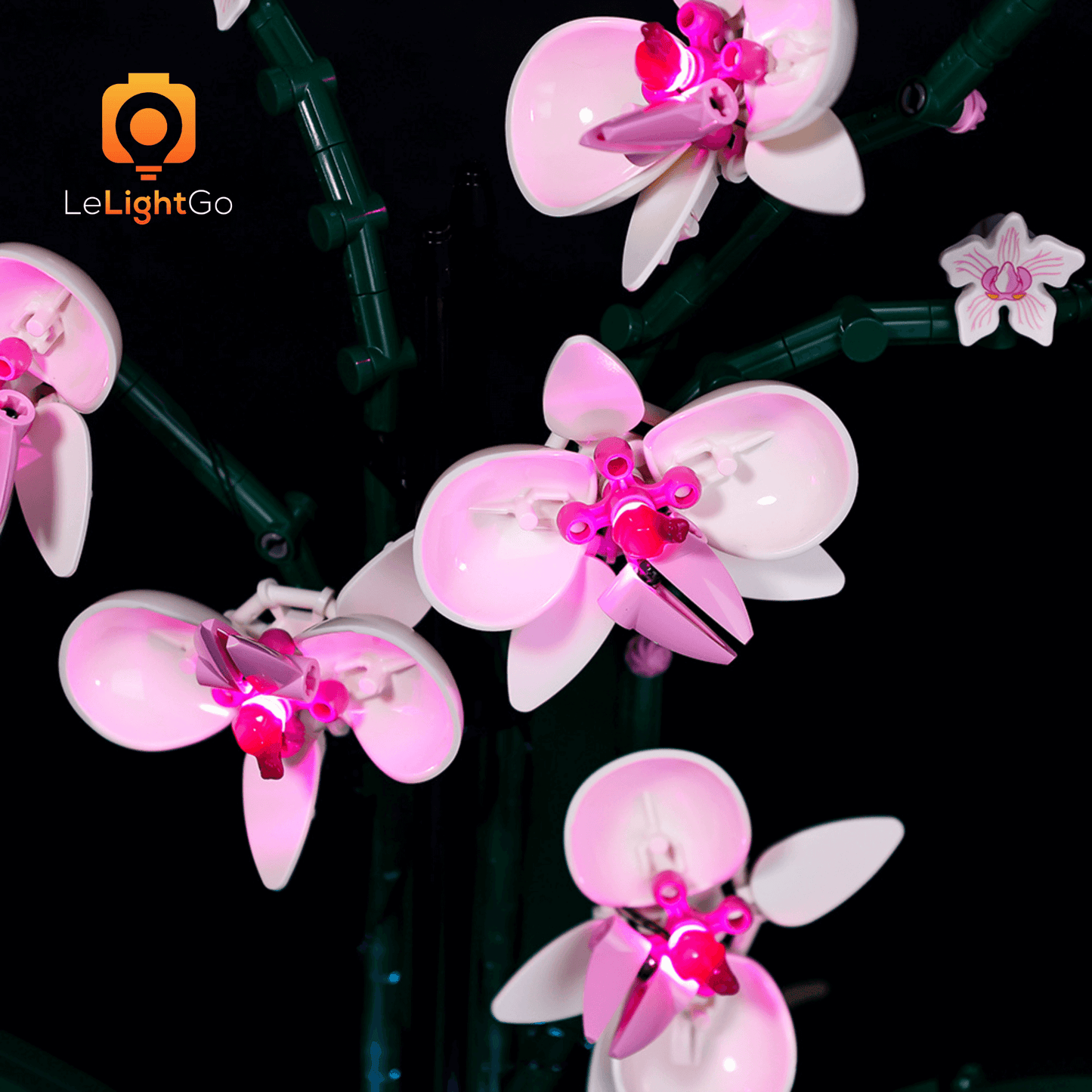 Light Kit For Orchid 10311