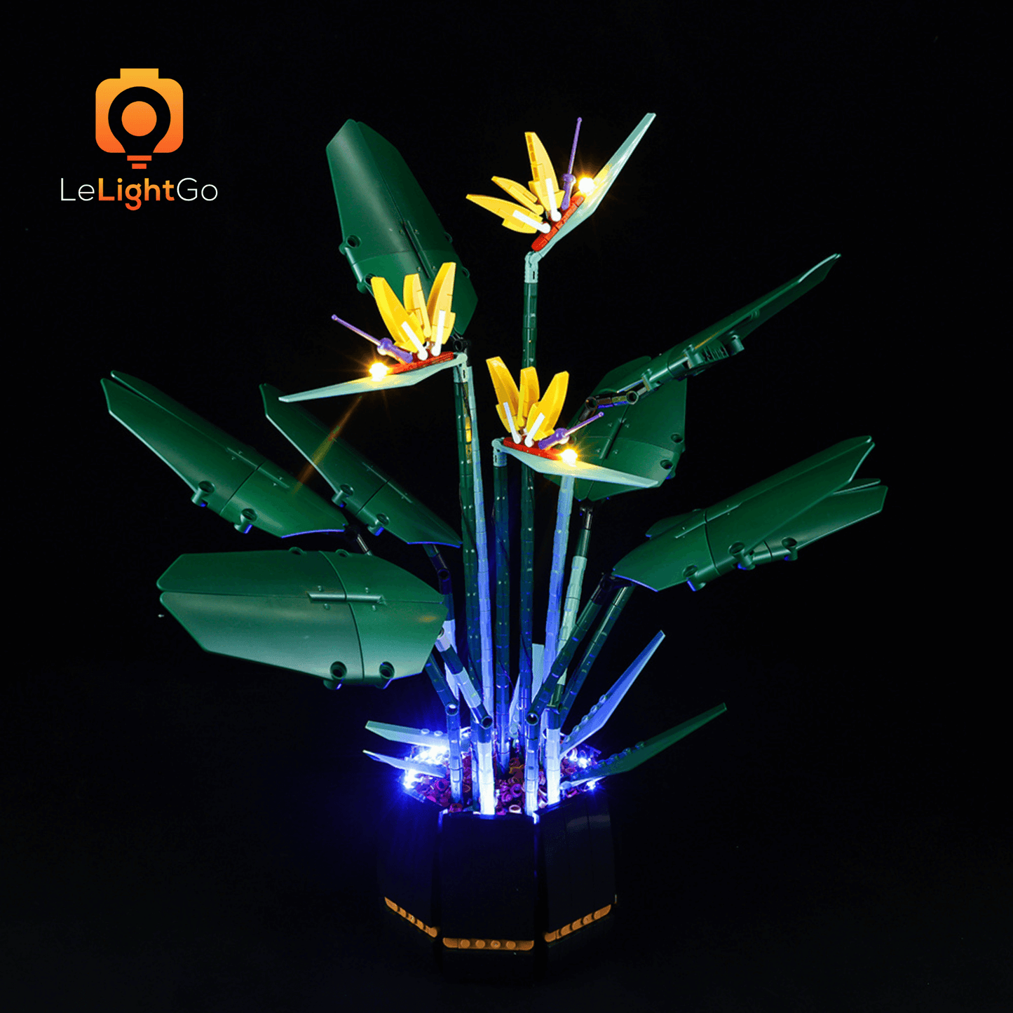 Light Kit For Bird of Paradise 10289