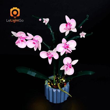 Light Kit For Orchid 10311