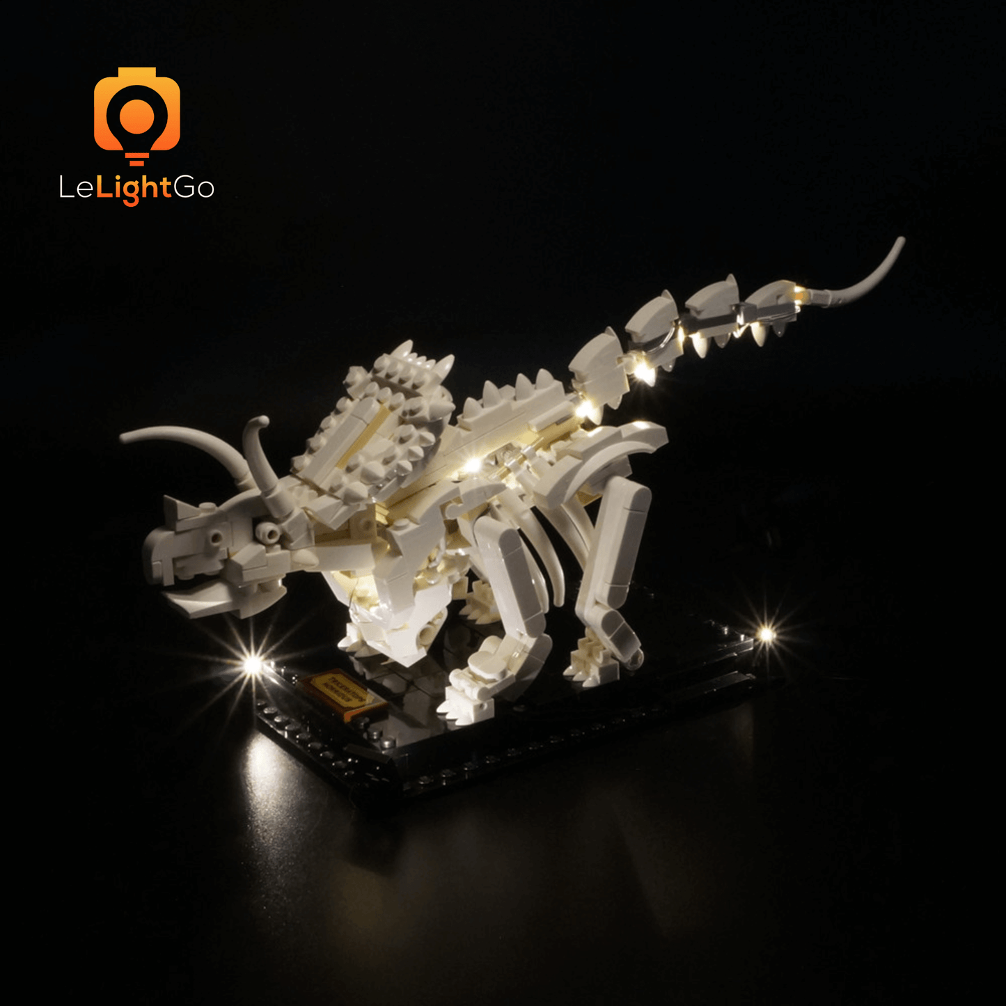Light Kit For Dinosaur Fossils 21320