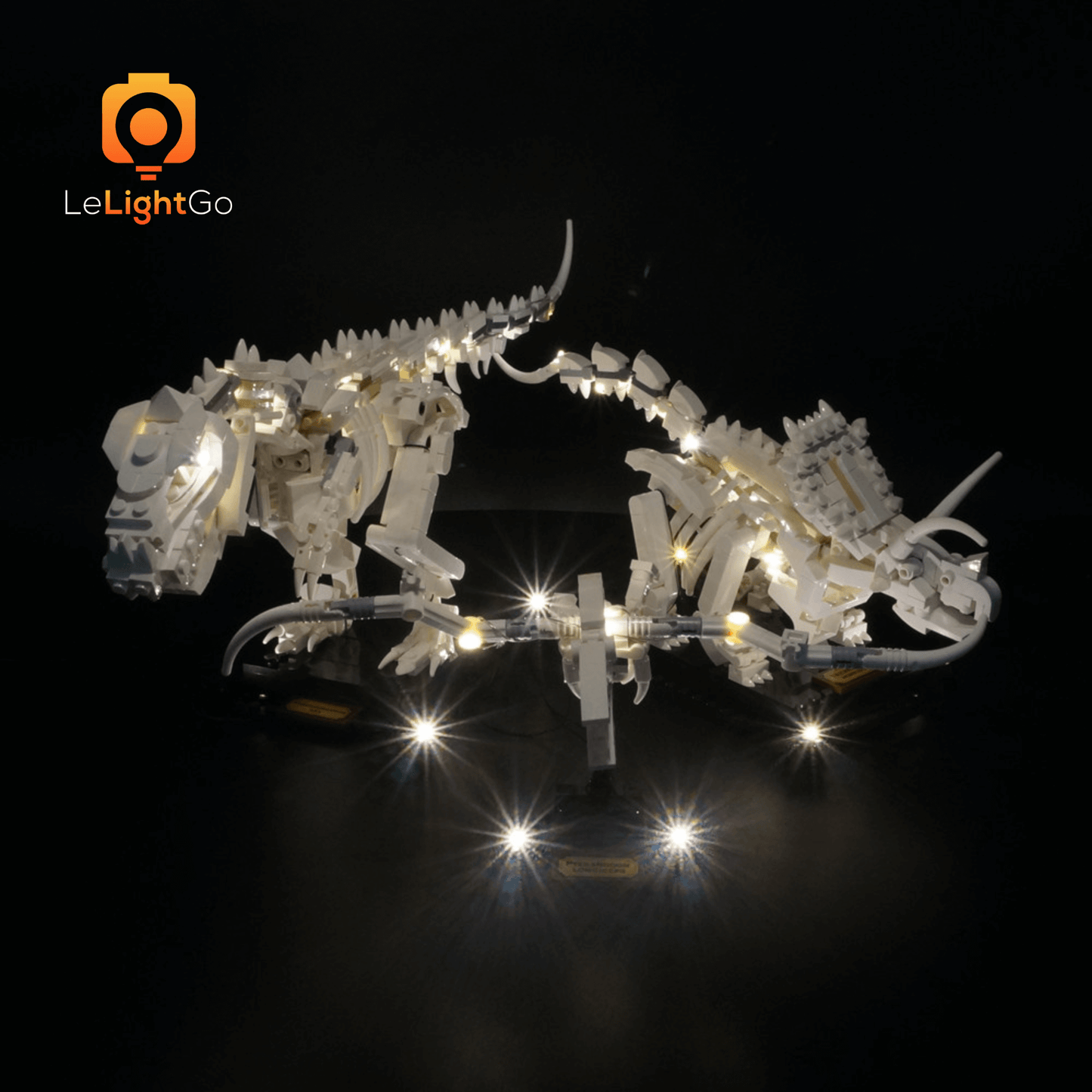 Light Kit For Dinosaur Fossils 21320