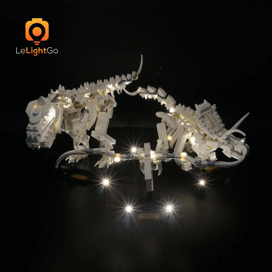 Light Kit For Dinosaur Fossils 21320
