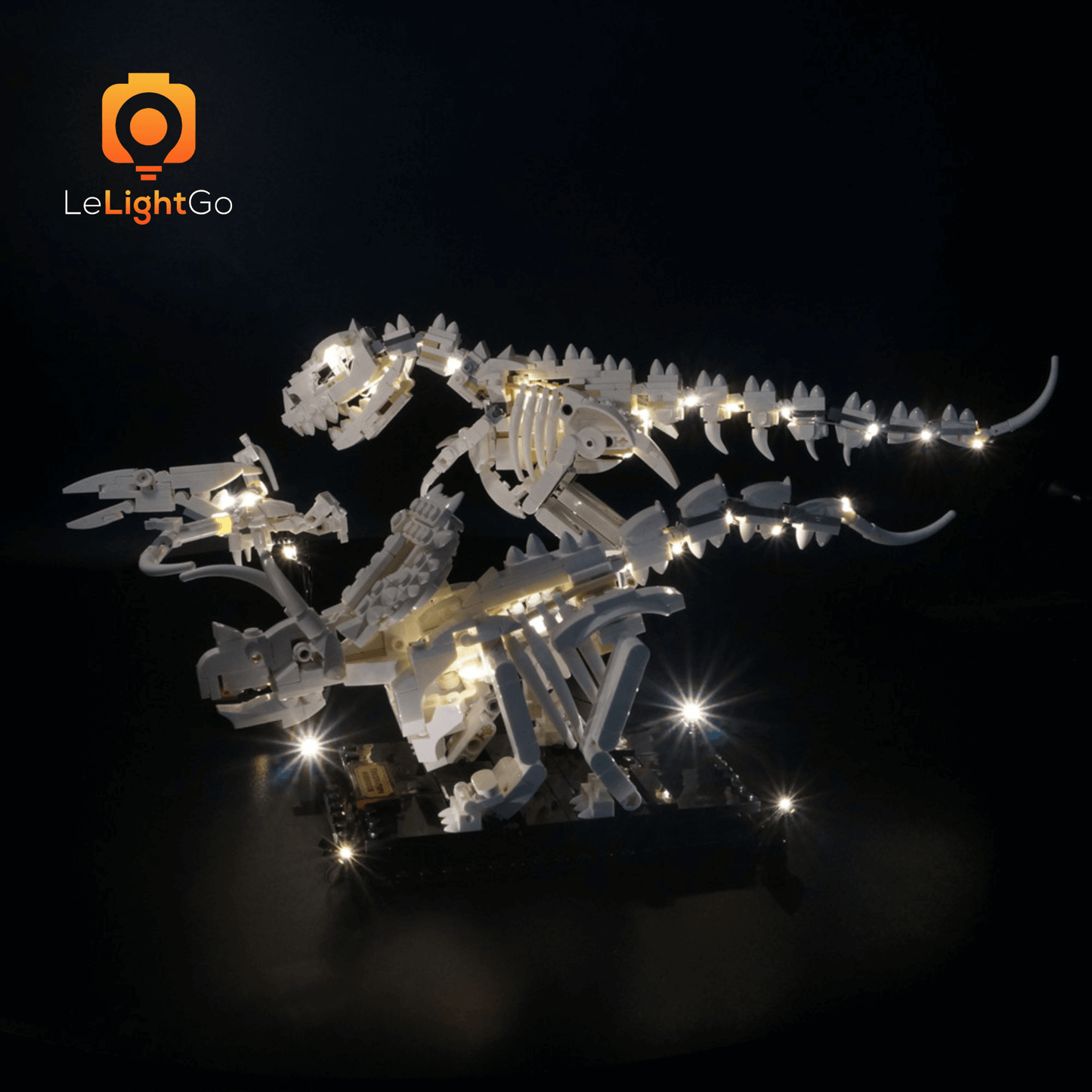 Light Kit For Dinosaur Fossils 21320