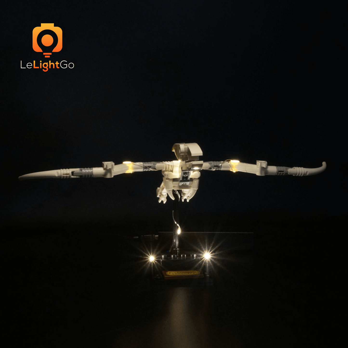 Light Kit For Dinosaur Fossils 21320