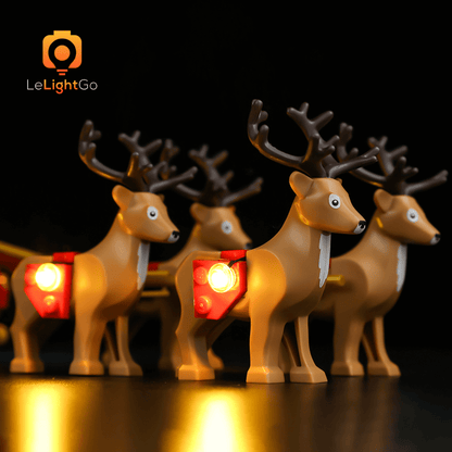 Light Kit For Santa's Sleigh 40499